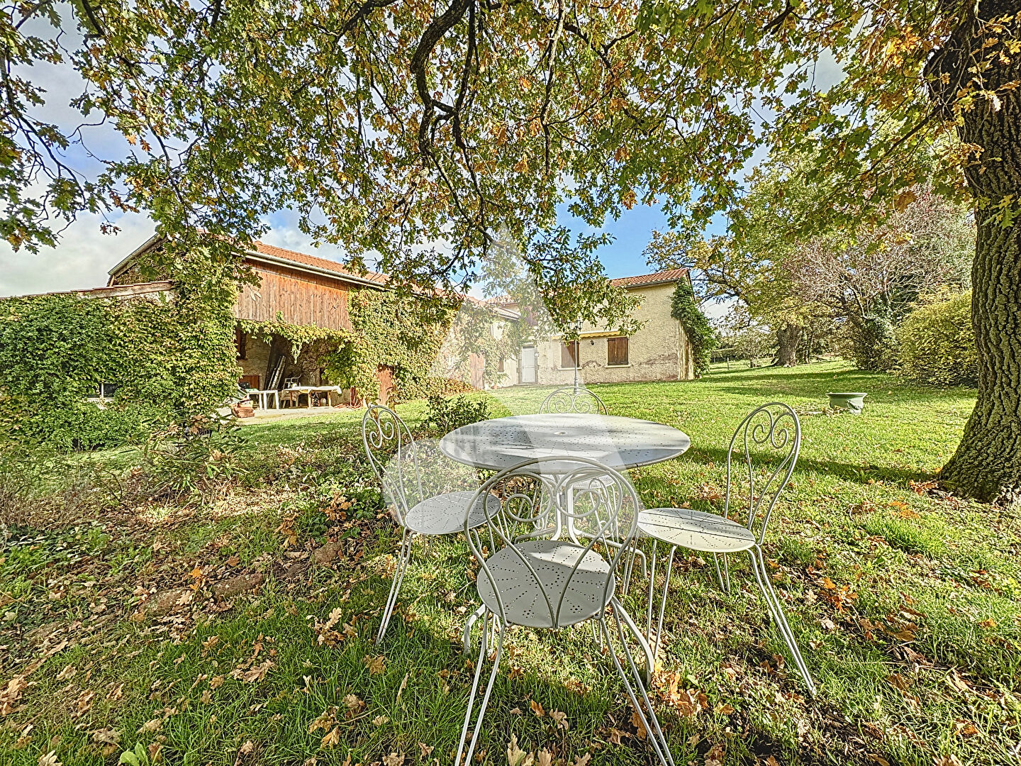 Agence immobilière de Stéphane Plaza Immobilier Feurs