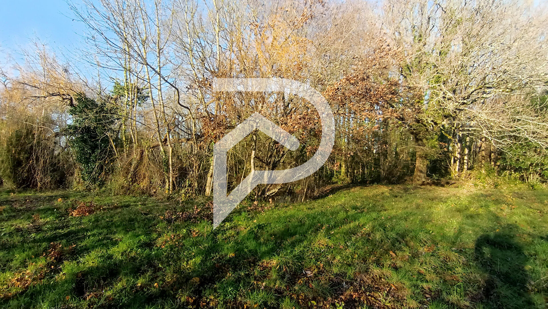 Photo Terrain de loisirs de 1548m² avec étang image 3/5