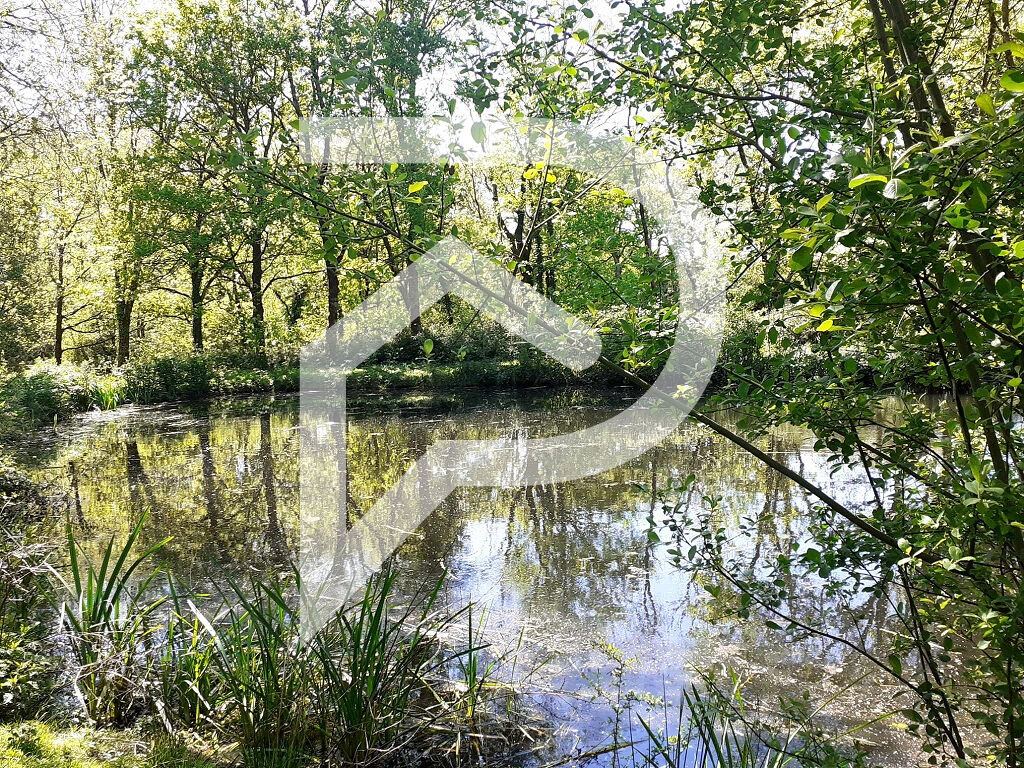 Photo Terrain de loisirs Grosbreuil 2225 m²  avec puits et toilettes image 1/6