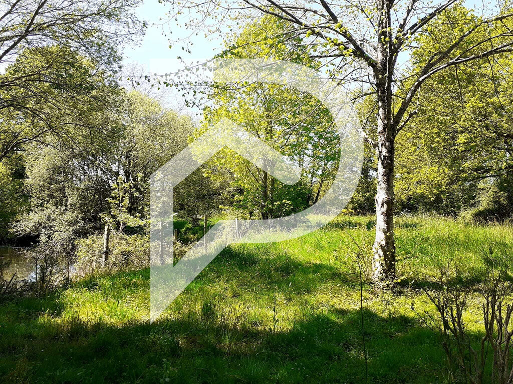 Photo Terrain de loisirs Grosbreuil 2225 m²  avec puits et toilettes image 2/6