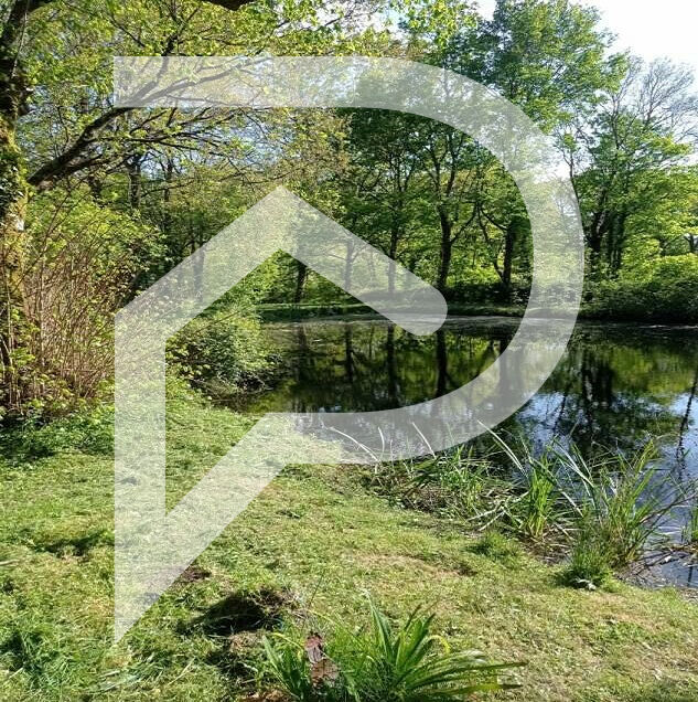 Photo Terrain de loisirs Grosbreuil 2225 m²  avec puits et toilettes image 5/6