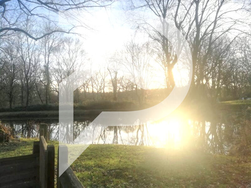 Photo Terrain de loisirs Grosbreuil 2225 m²  avec puits et toilettes image 6/6