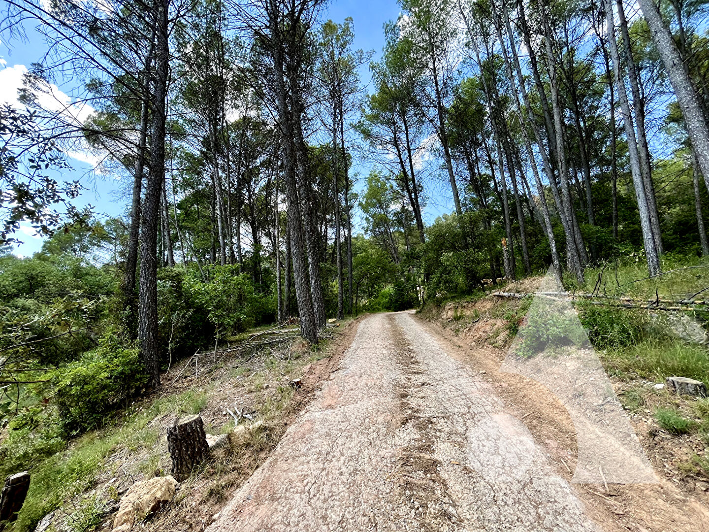 Agence immobilière de Stéphane Plaza Immobilier Salernes