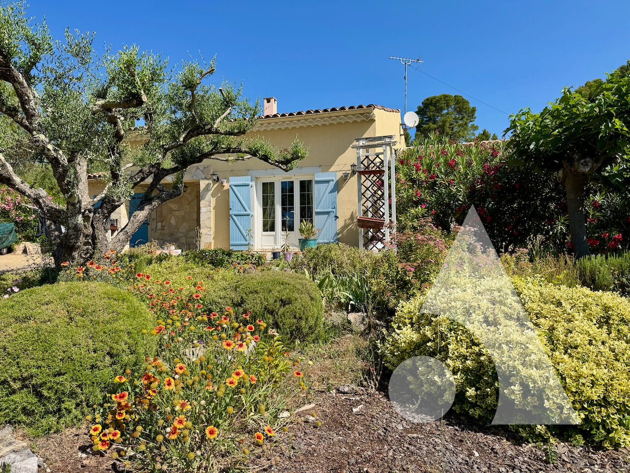 Agence immobilière de Stéphane Plaza Immobilier Salernes