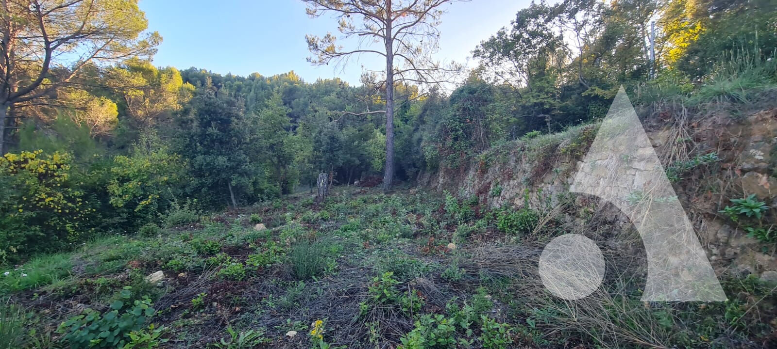 Photo Terrain Draguignan col de l'ange de 1.224m² LOT B, pour une maison de 183,6 m², viabilités en bordures. image 6/6