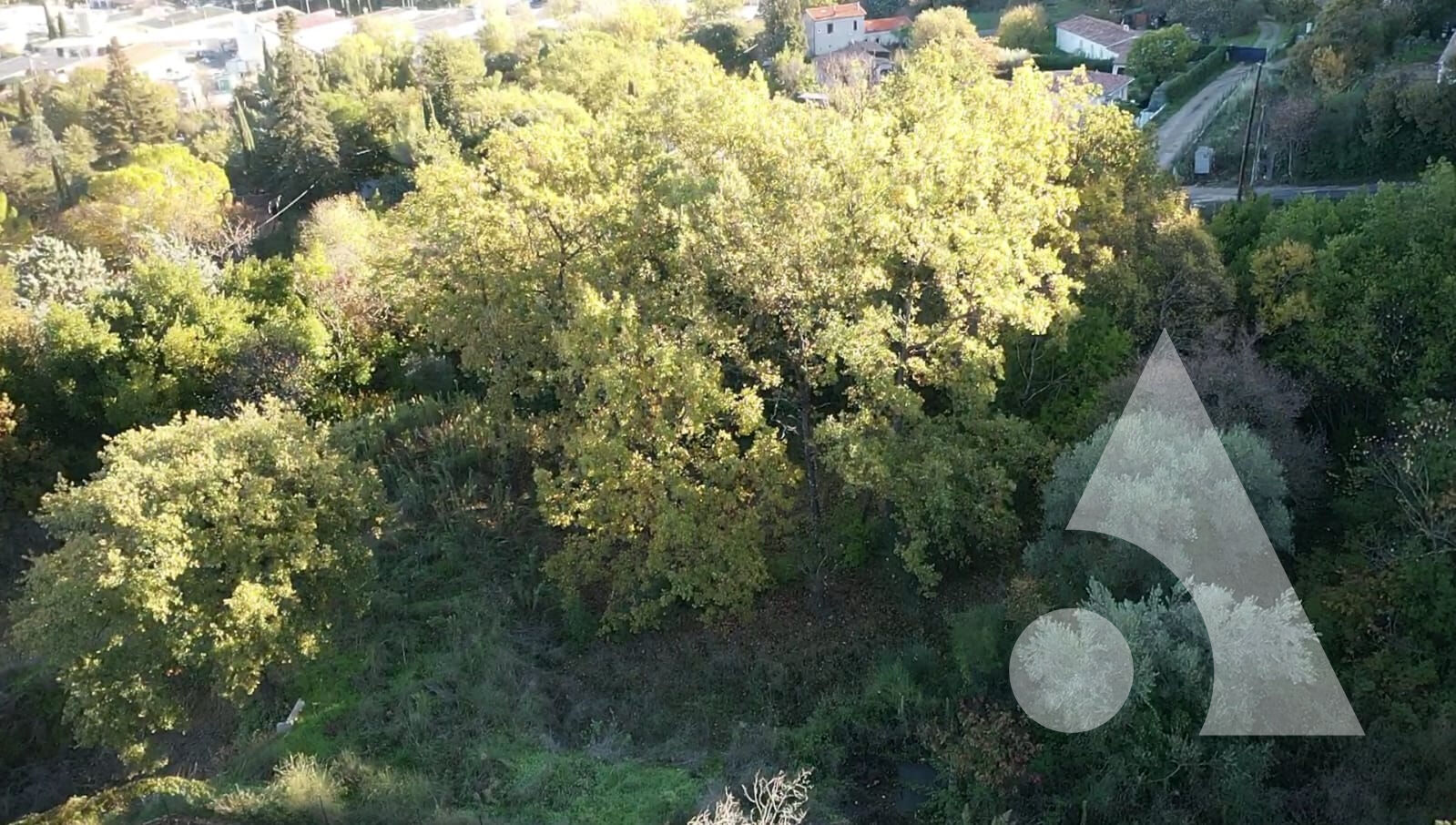 Photo Terrain viabilisé à Draguignan col de l'ange de 916m² LOT 11, pour une maison de 137,4m² image 3/6