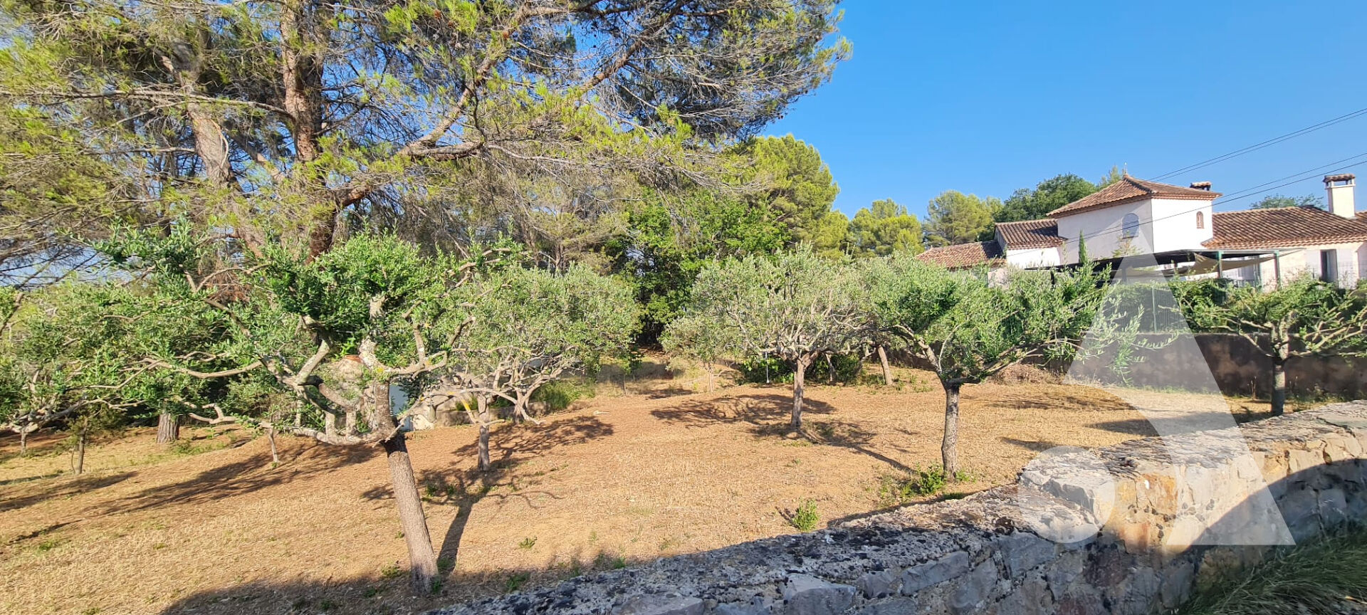 Agence immobilière de Stéphane Plaza Immobilier Salernes