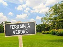 Agence immobilière de Stéphane Plaza Immobilier Estrées-Saint-Denis