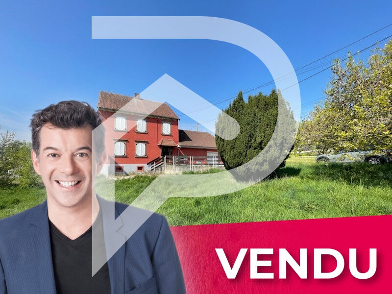 Agence immobilière de Stéphane Plaza Immobilier Colmar-Sud