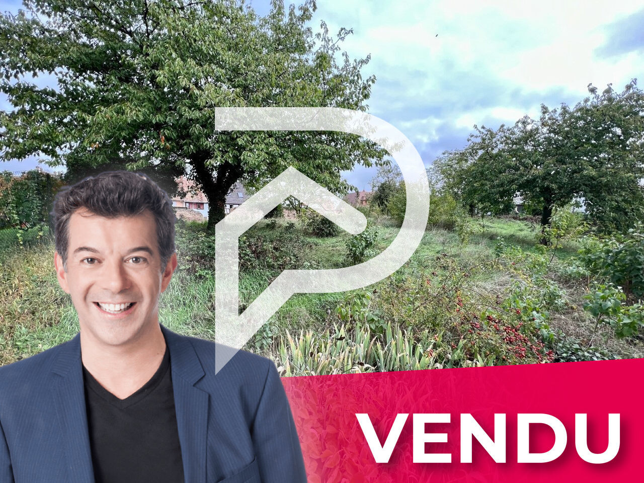 Agence immobilière de Stéphane Plaza Immobilier Colmar-Sud