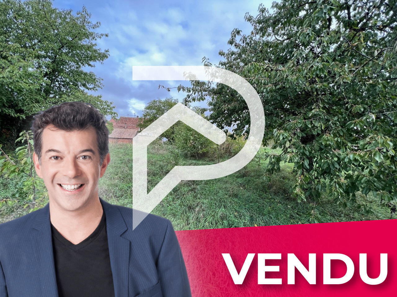 Agence immobilière de Stéphane Plaza Immobilier Colmar-Sud
