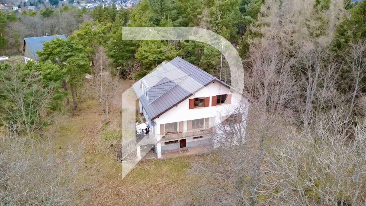 Agence immobilière de Stéphane Plaza Immobilier Colmar-Sud