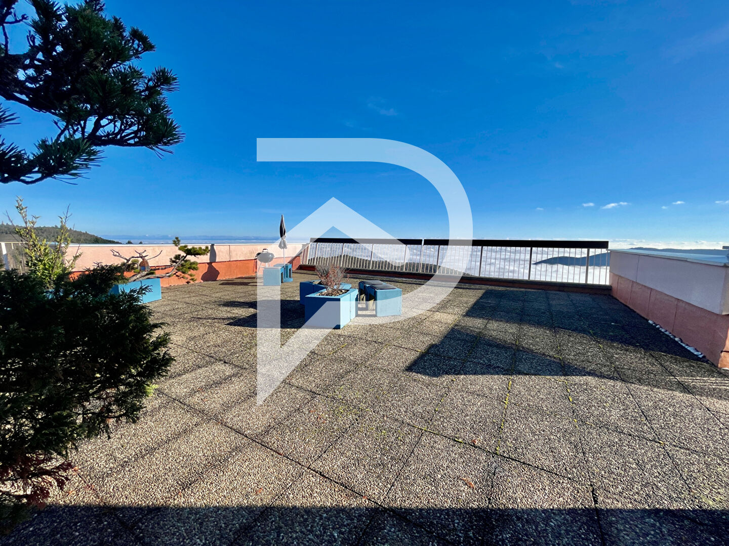 Agence immobilière de Stéphane Plaza Immobilier Colmar-Sud