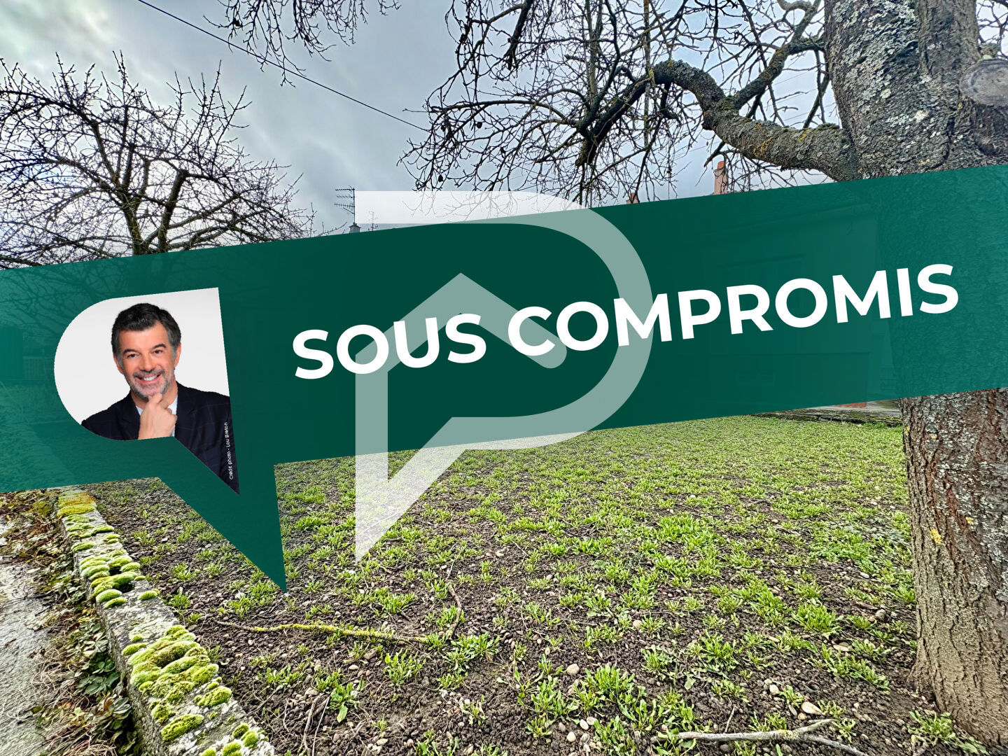 Agence immobilière de Stéphane Plaza Immobilier Colmar-Sud