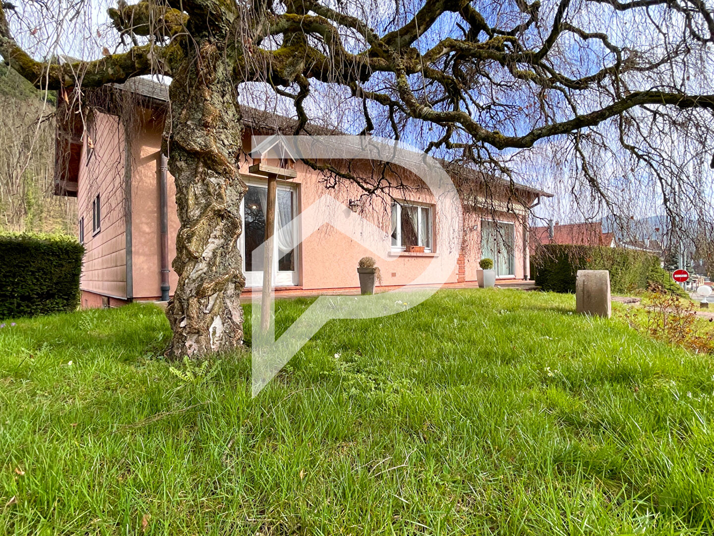 Agence immobilière de Stéphane Plaza Immobilier Colmar-Sud