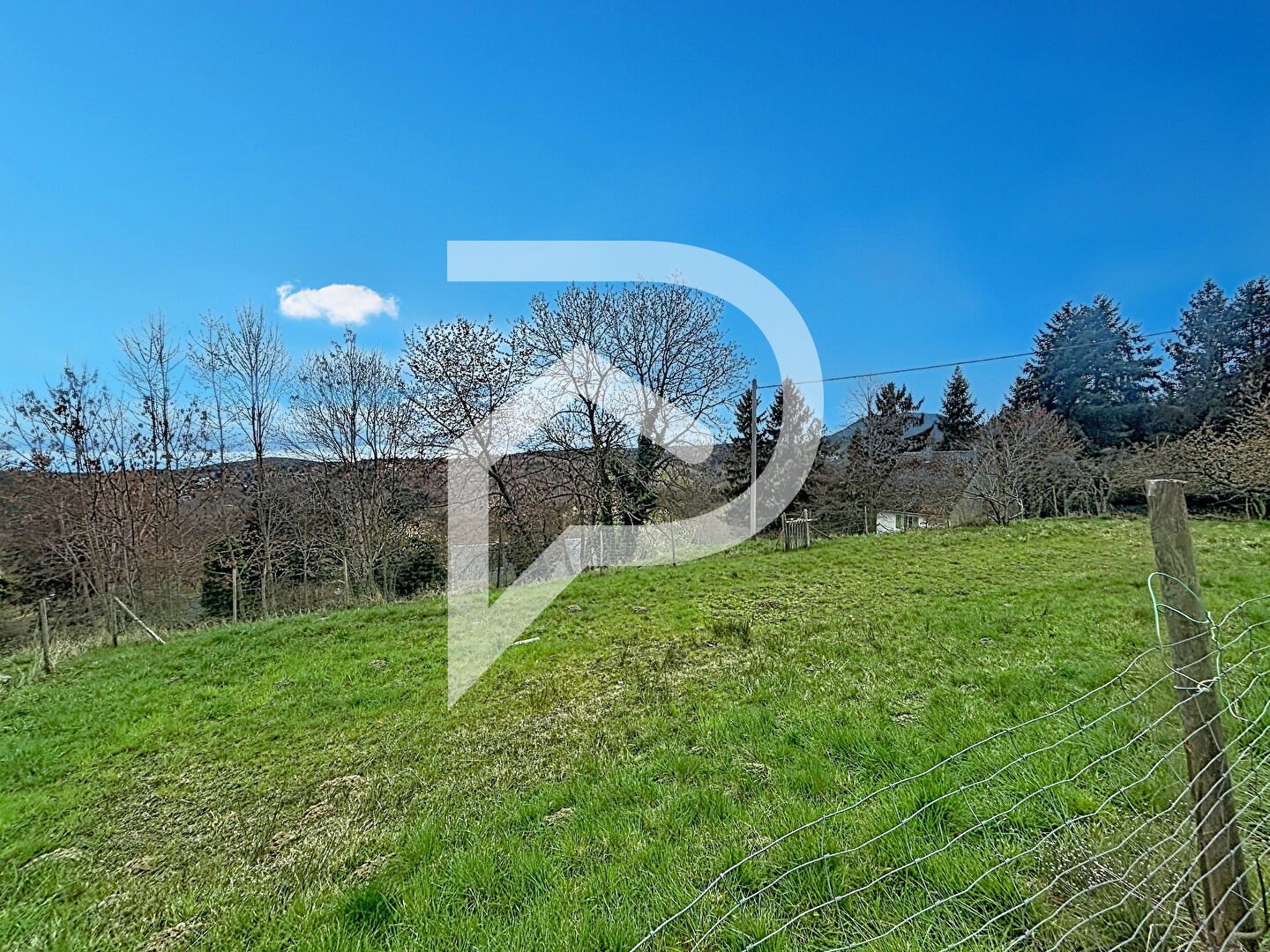 Agence immobilière de Stéphane Plaza Immobilier Colmar-Sud