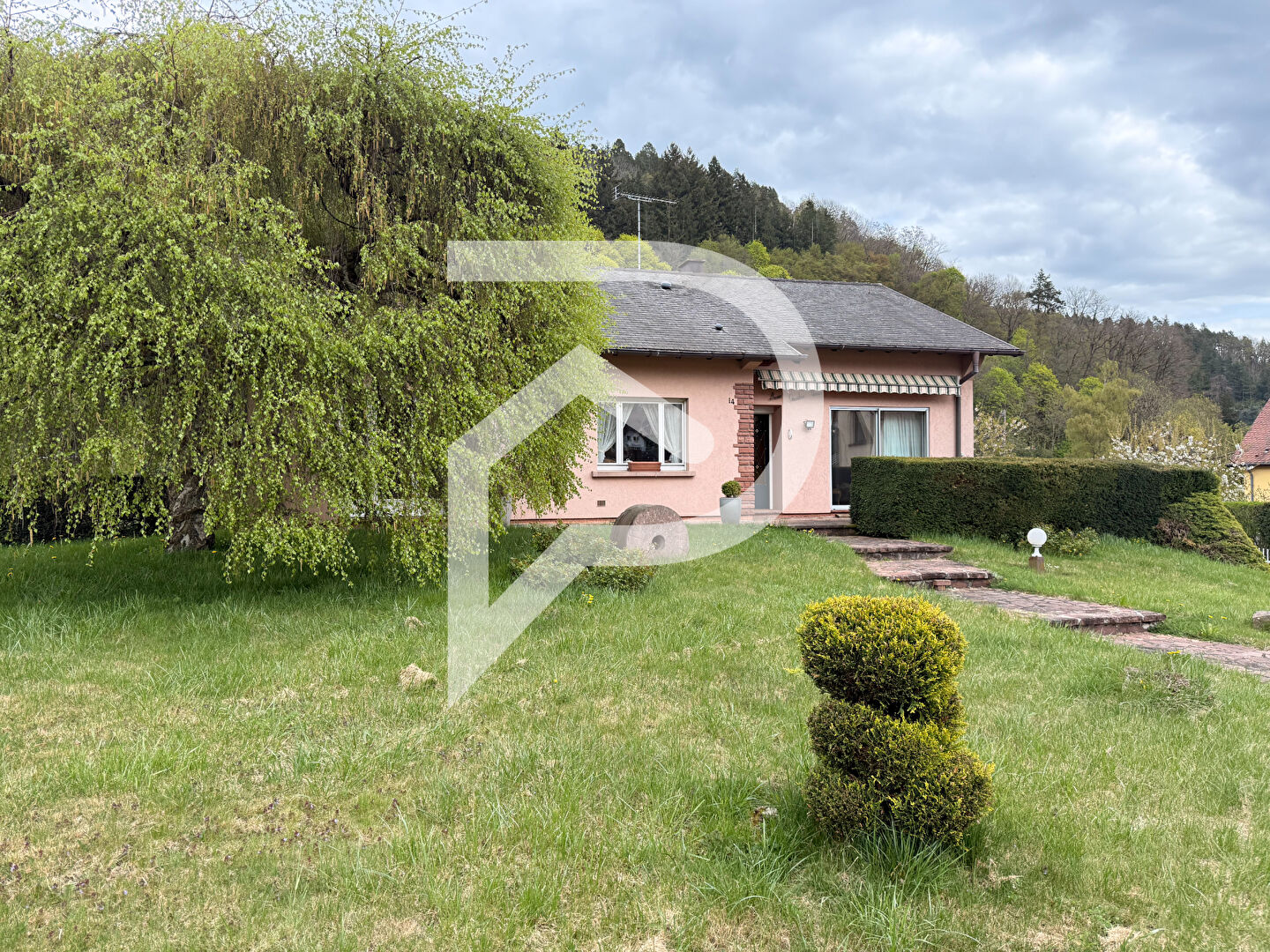 Agence immobilière de Stéphane Plaza Immobilier Colmar-Sud