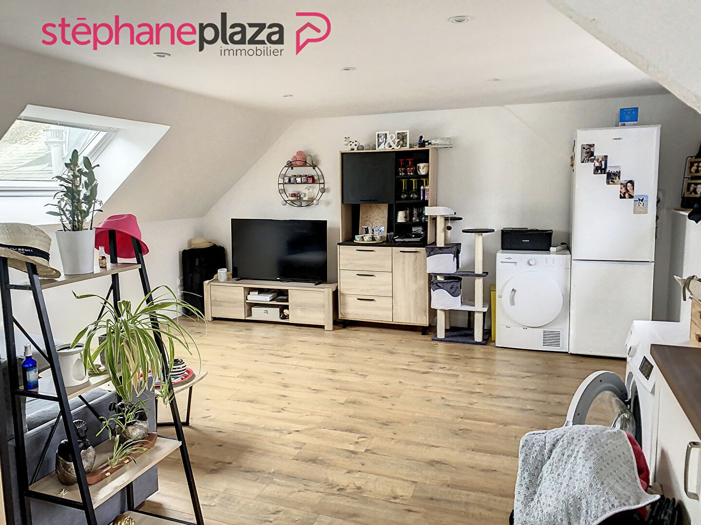 Agence immobilière de Stéphane Plaza Immobilier Douarnenez