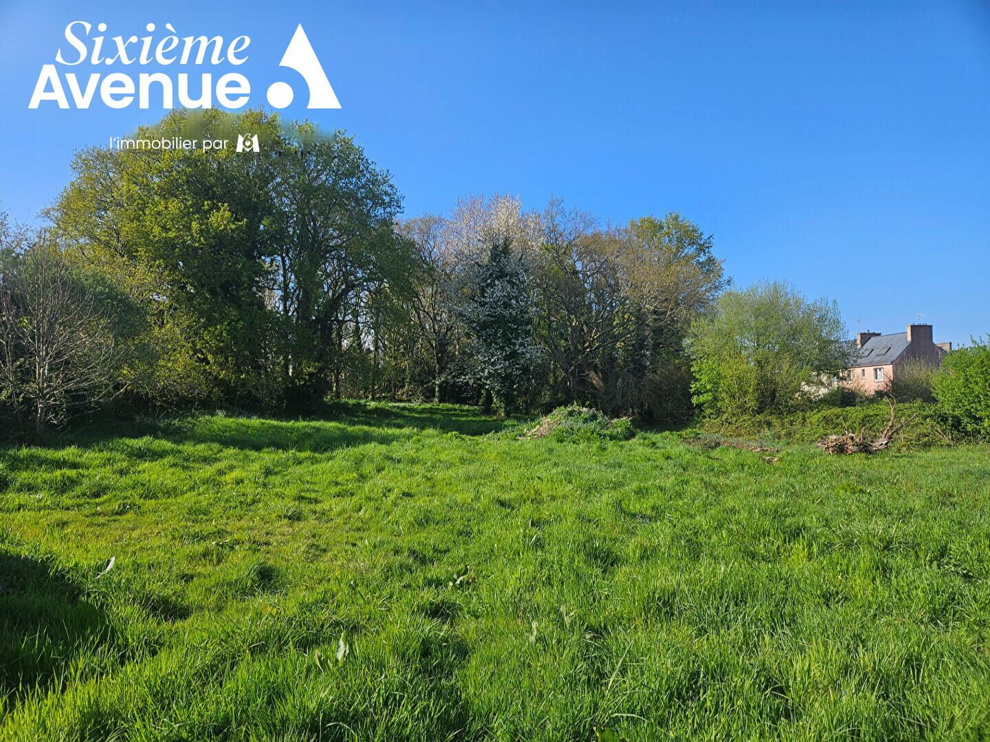 Agence immobilière de Stéphane Plaza Immobilier Douarnenez