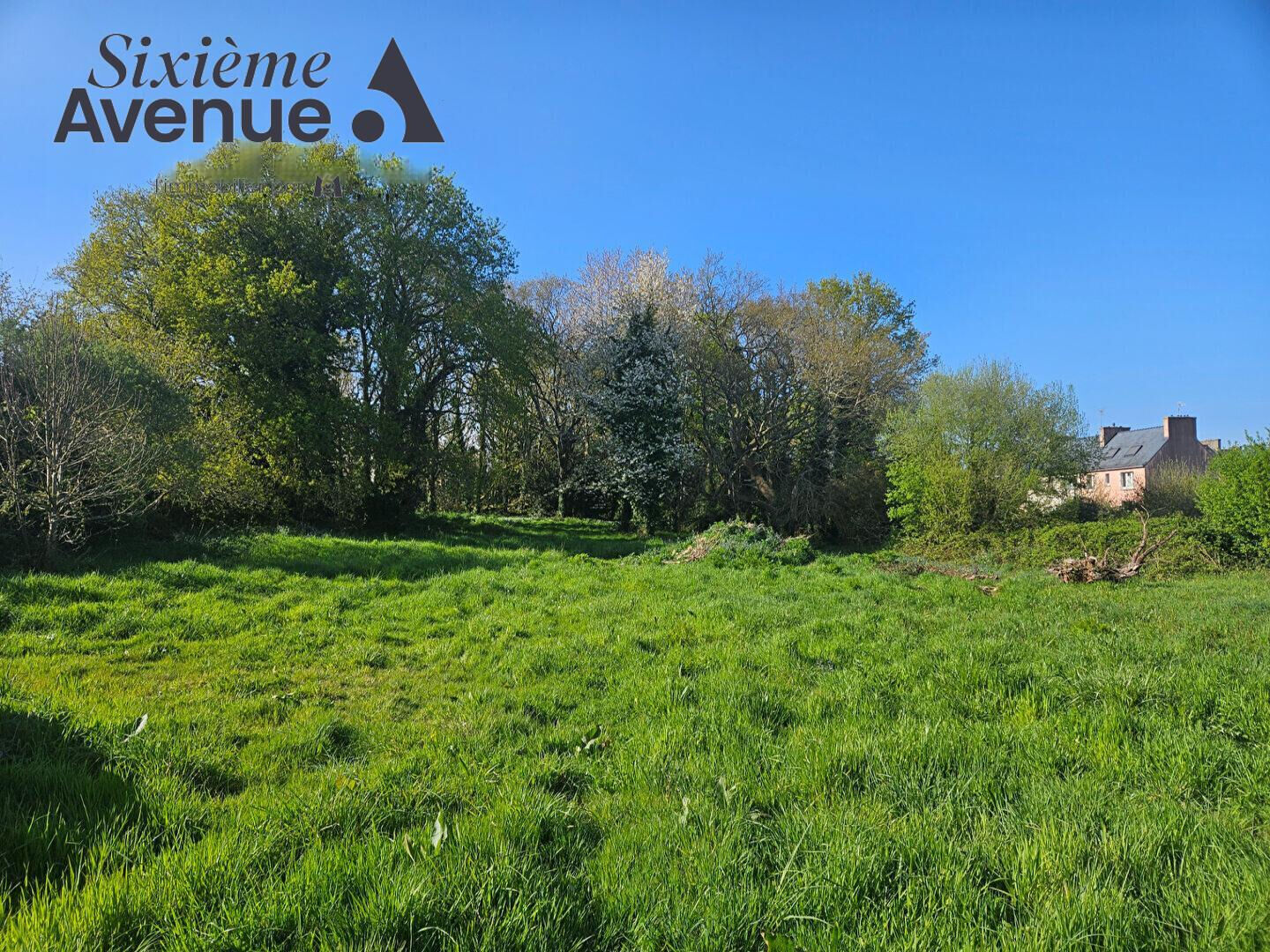 Agence immobilière de Stéphane Plaza Immobilier Douarnenez