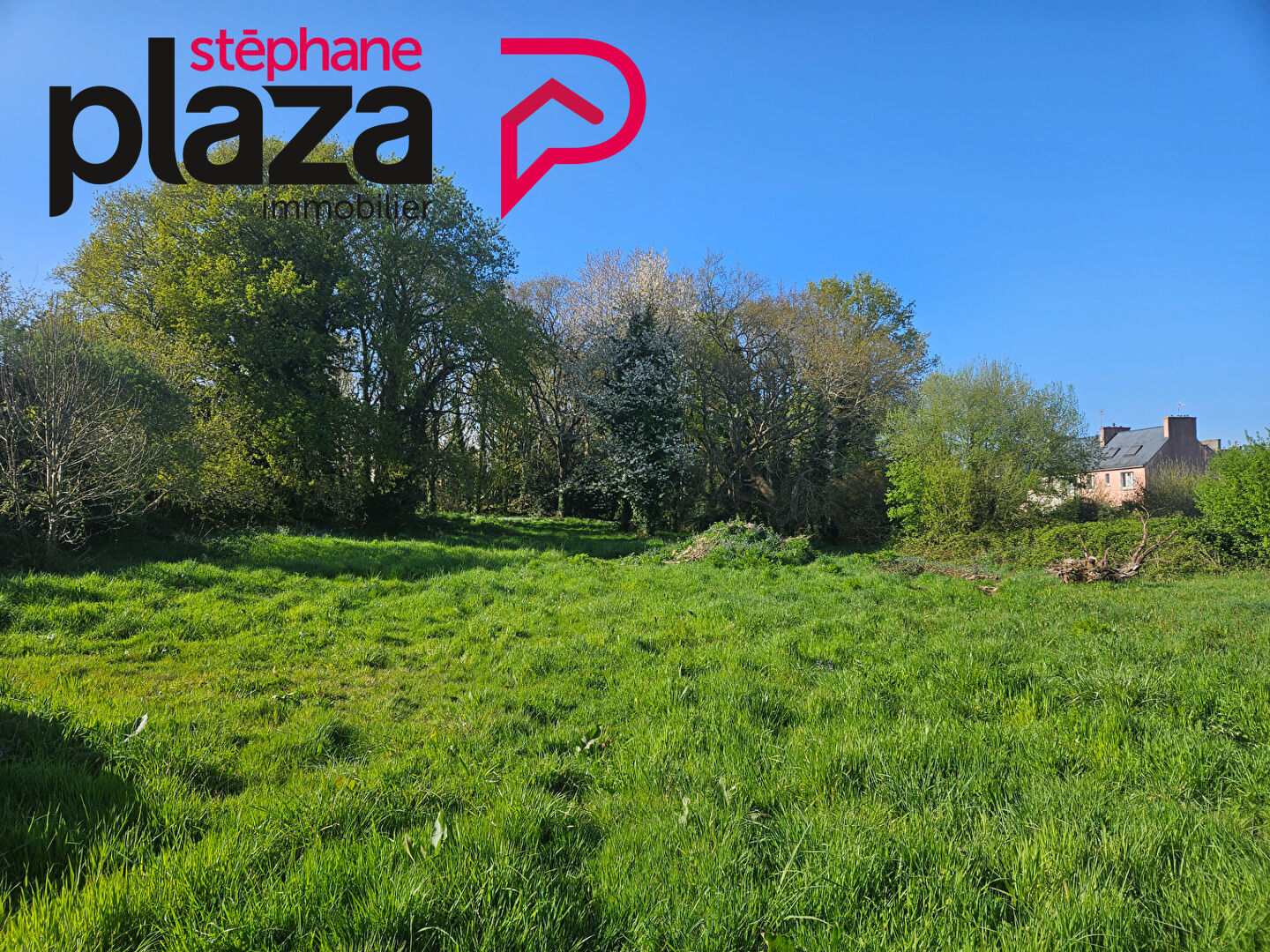 Agence immobilière de Stéphane Plaza Immobilier Douarnenez
