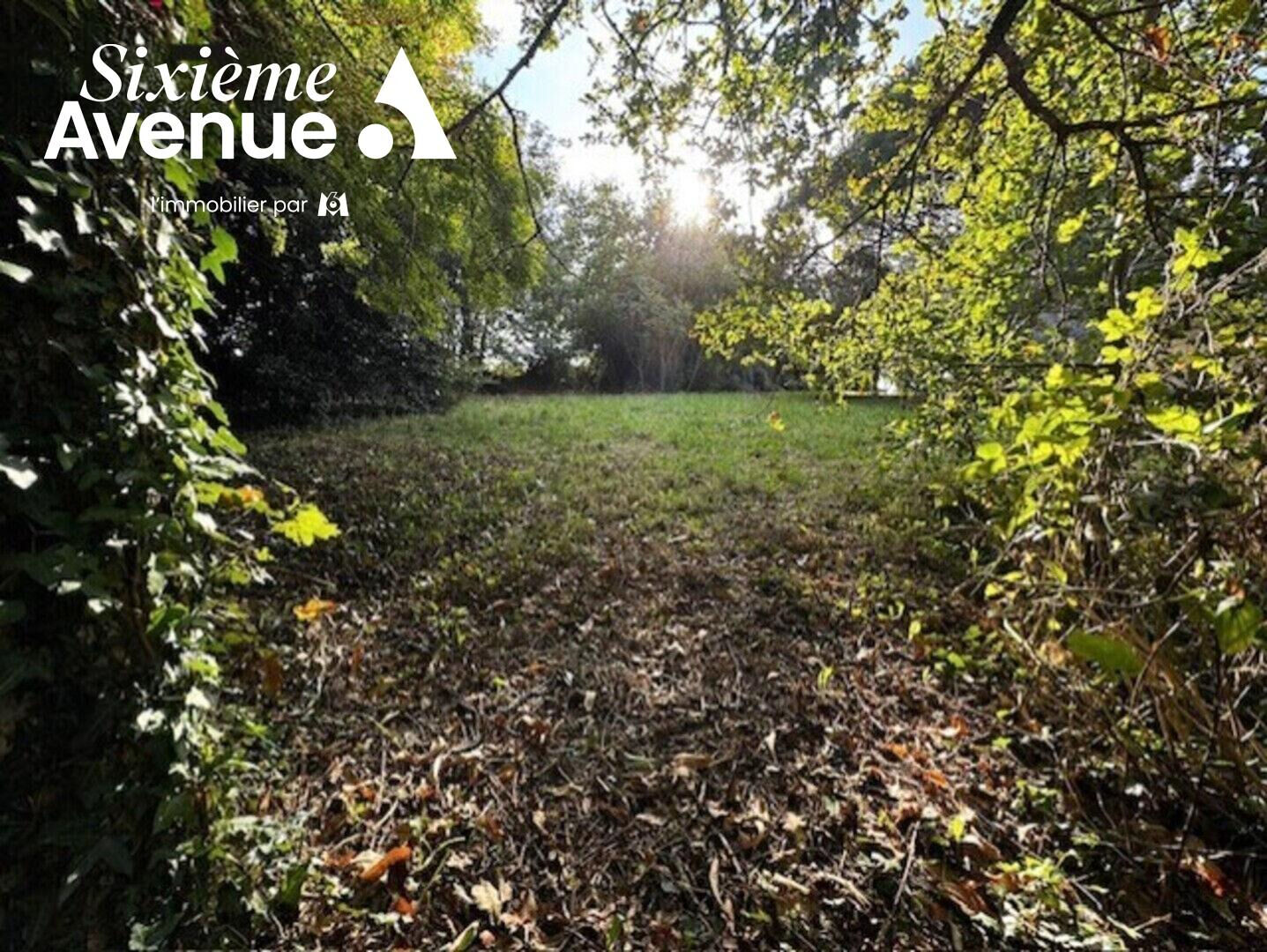 Agence immobilière de Stéphane Plaza Immobilier Douarnenez