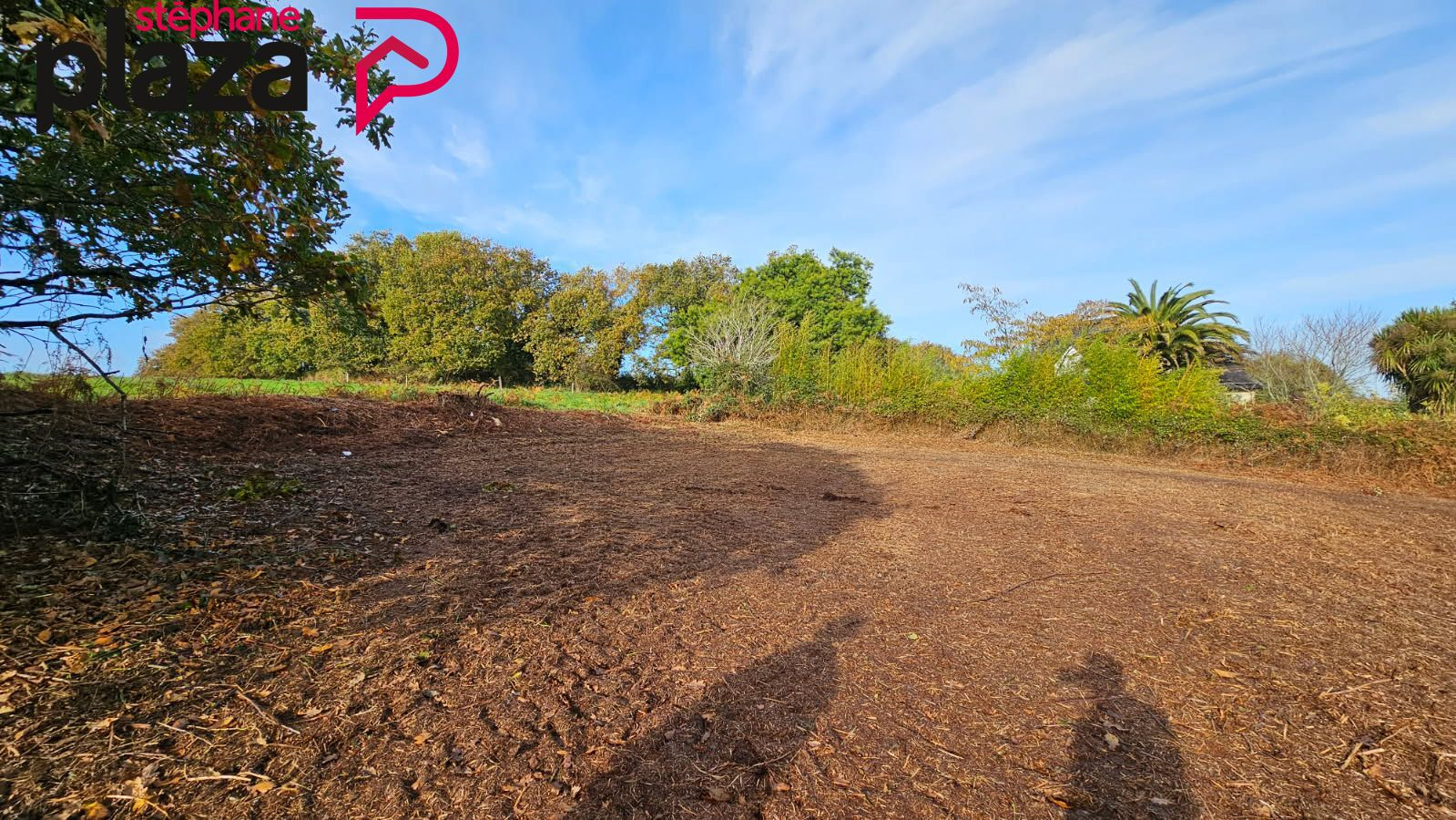 Agence immobilière de Stéphane Plaza Immobilier Douarnenez