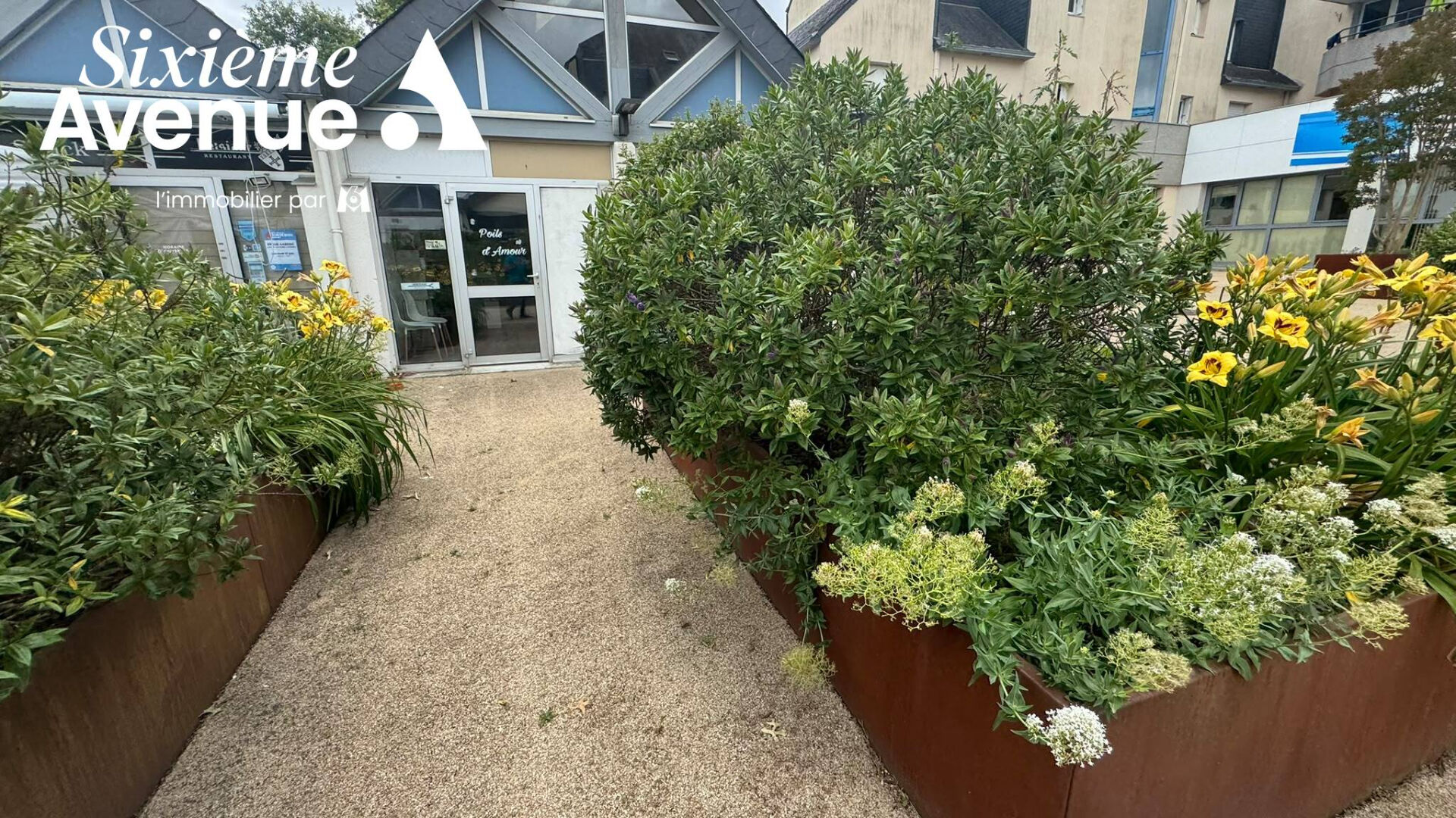 Agence immobilière de Stéphane Plaza Immobilier Douarnenez