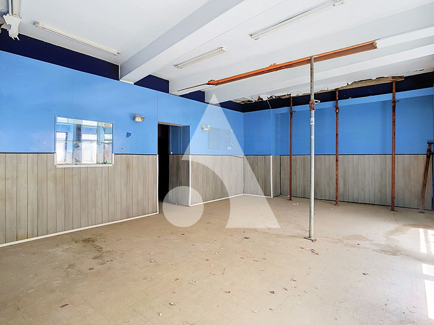 Immeuble Saint Symphorien Sur Coise 4 pièce(s) 225 m²