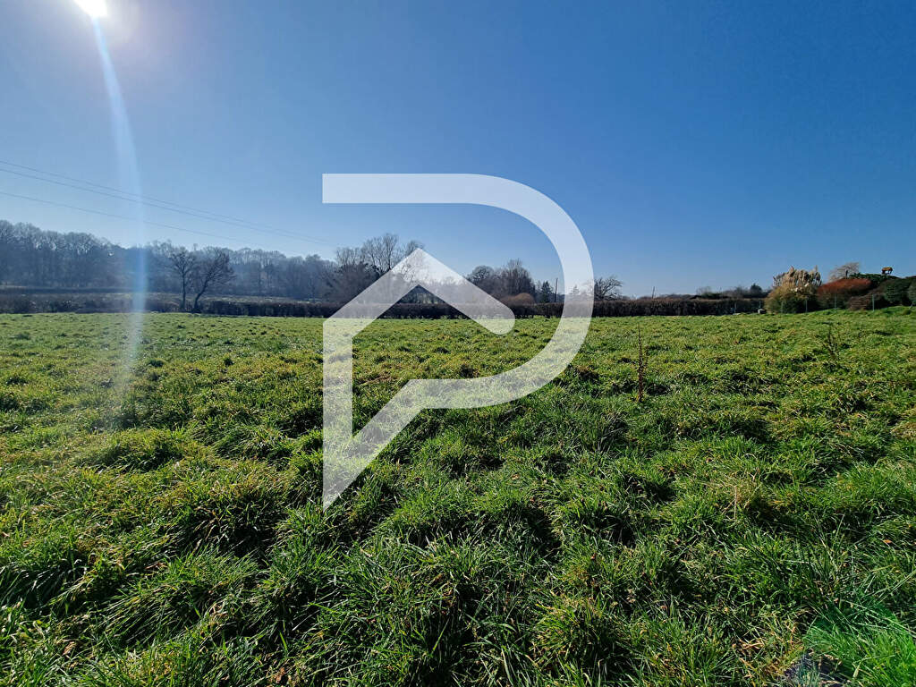 Agence immobilière de Stéphane Plaza Immobilier Montceau les Mines
