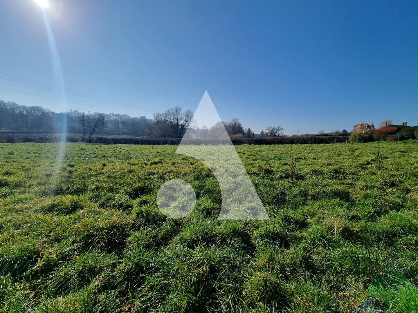 Photo Terrain St Vallier 2637 m² image 2/5