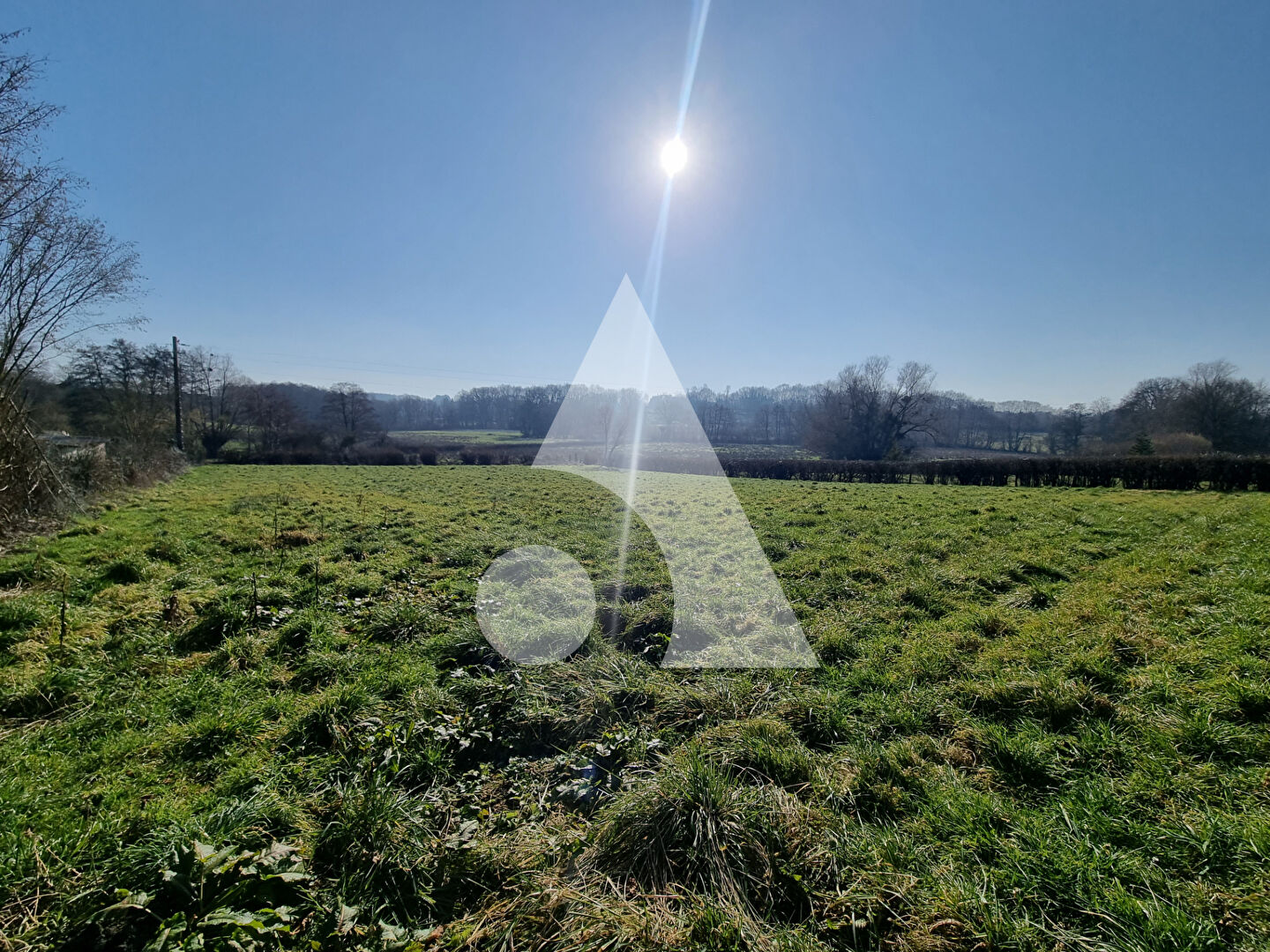 Photo Terrain St Vallier 2637 m² image 4/5