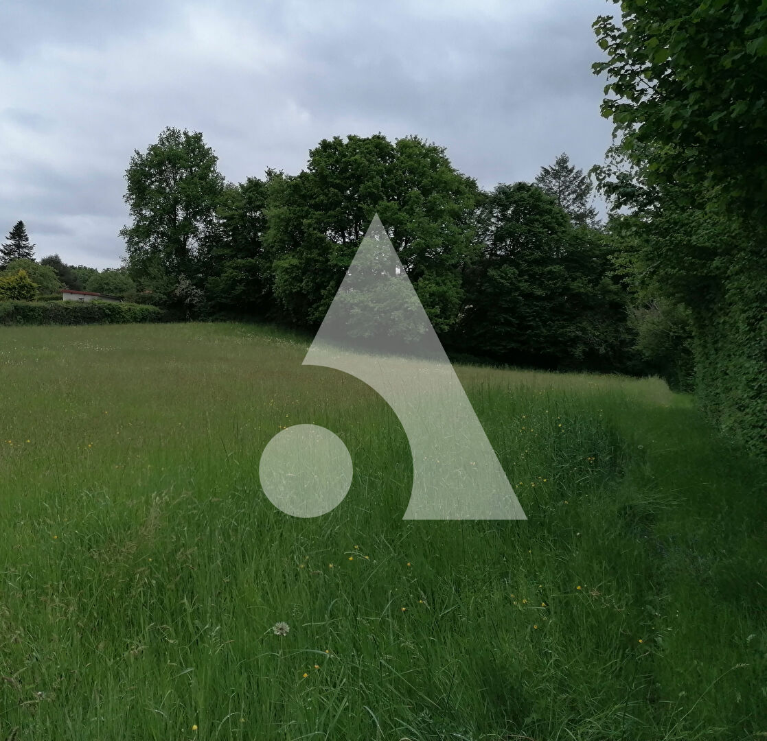 Photo Terrain constructible 3105m² Gourdon image 3/3