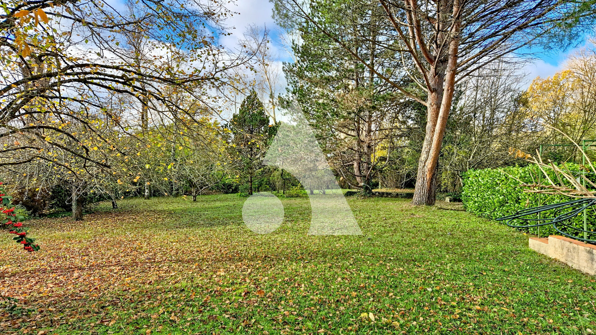 Agence immobilière de 
 Stéphane Plaza Immobilier Albi - Stéphane Plaza Immobilier Albi 
