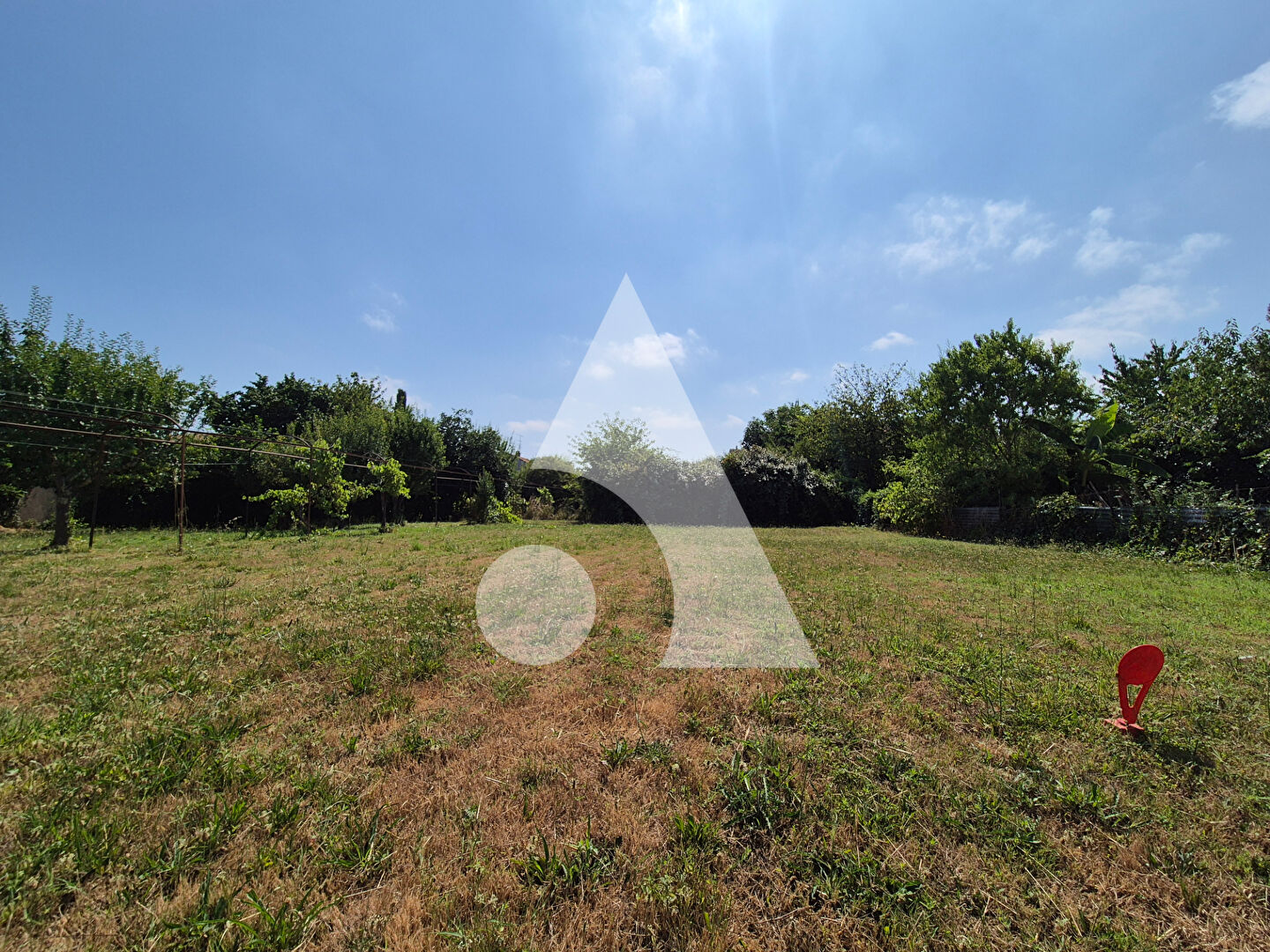 Agence immobilière de 
 Stéphane Plaza Immobilier Albi - Stéphane Plaza Immobilier Albi 
