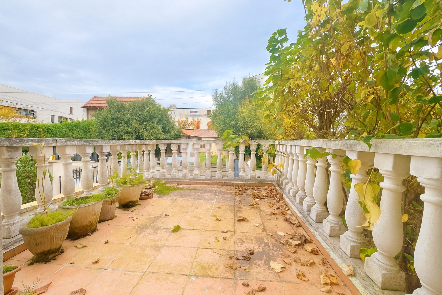 Photo Maison Champigny Sur Marne 5 pièce(s) 100 m2 image 5/6