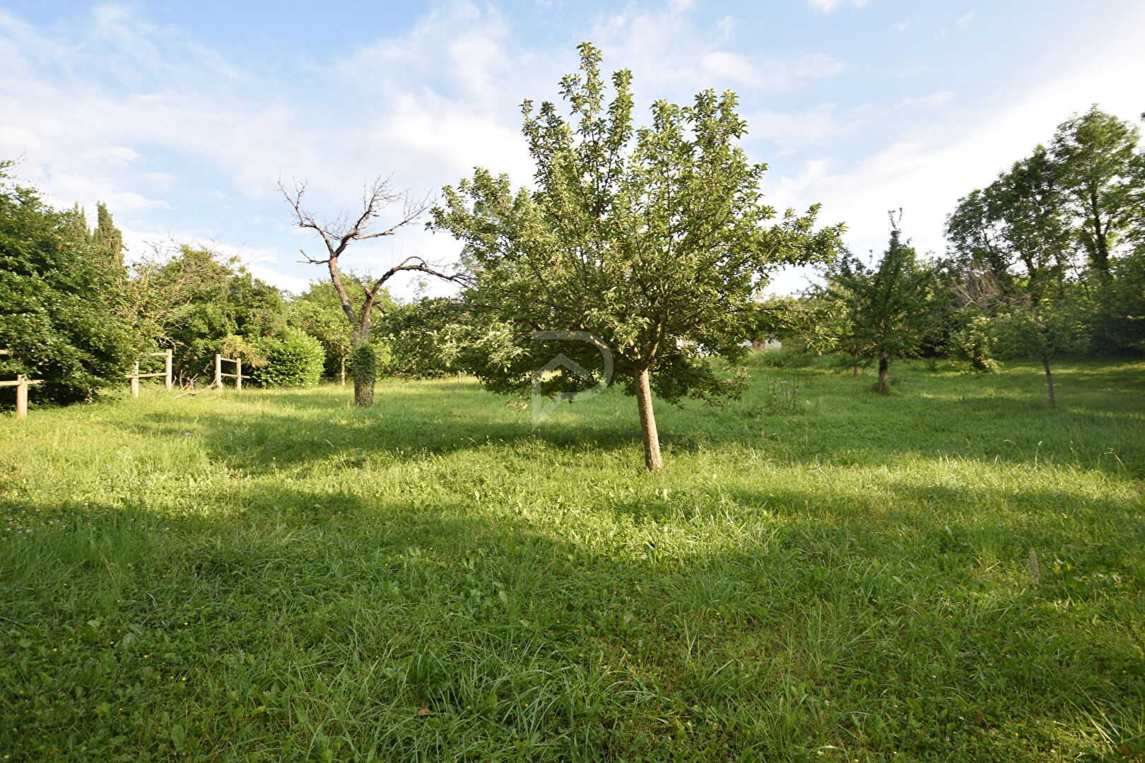 Photo Terrain Combronde 829 m2 image 2/4