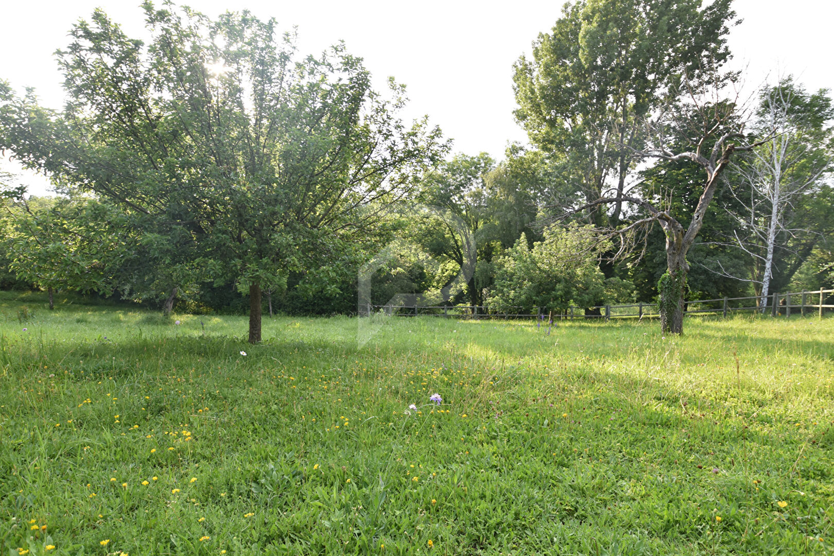 Photo Terrain Combronde 829 m2 image 3/4