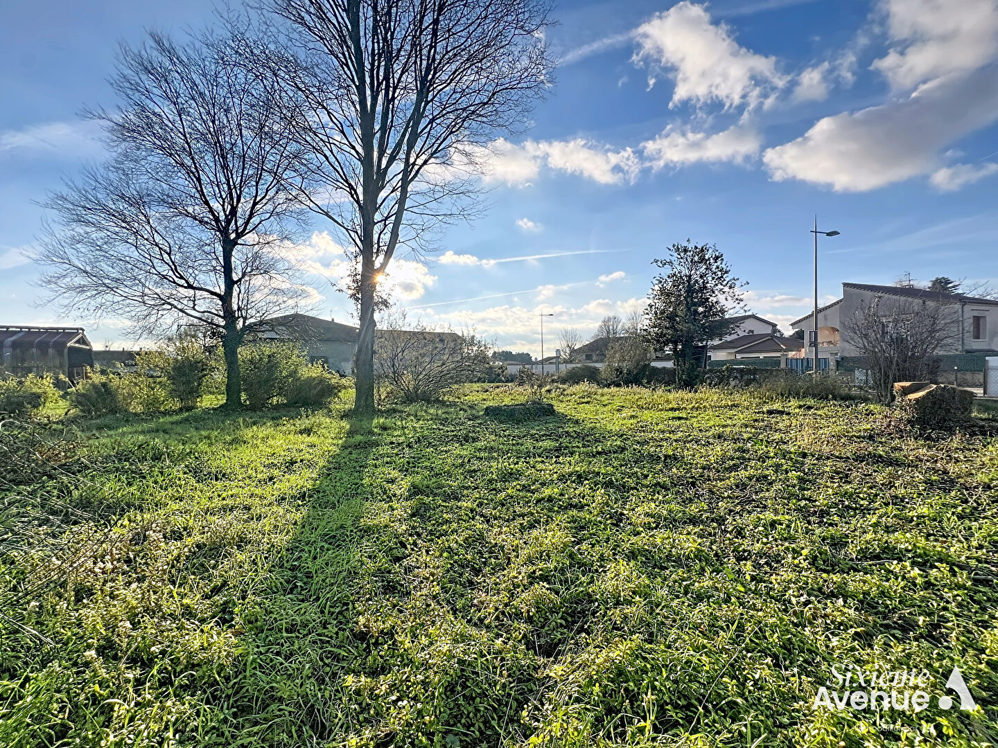 Photo Terrain à bâtir, Solaize 745 m2 image 4/6