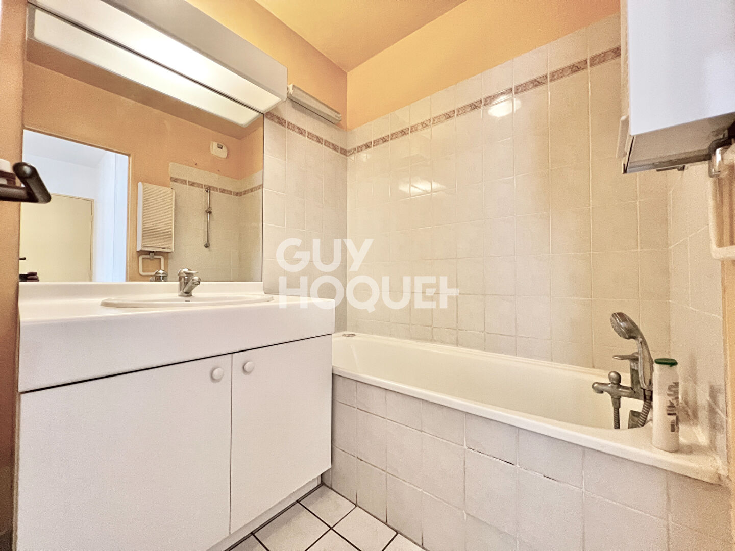 Appartement 3 pièces à vendre à Massy - Vieux Massy, proche RER