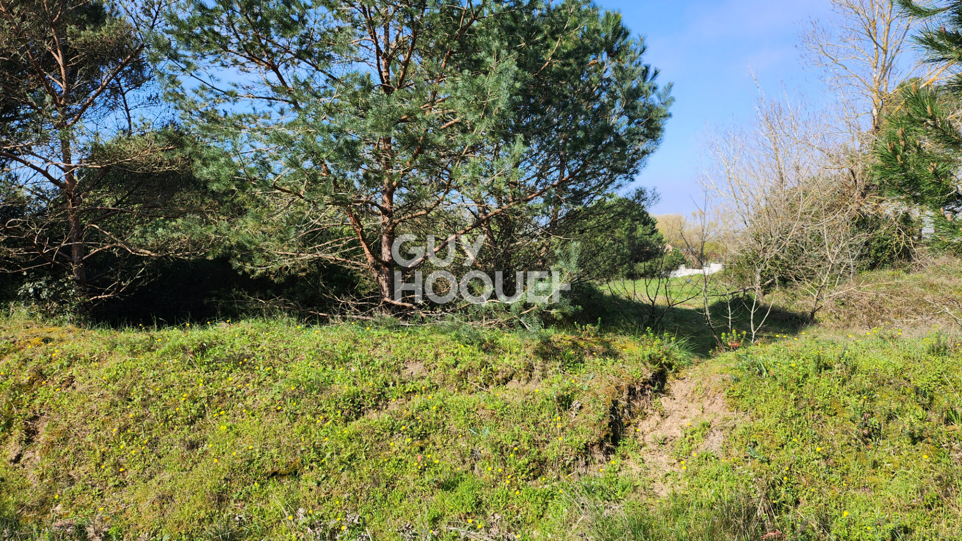 Terrain Saint Hilaire De Riez 400 m2 proximité plage
