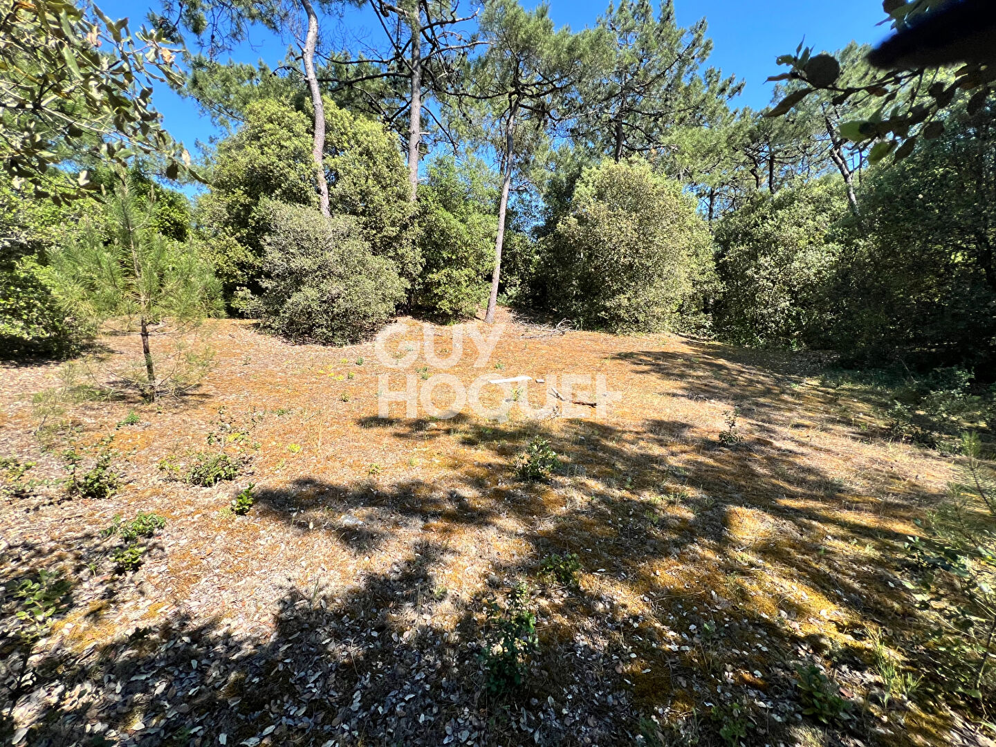 Terrain Saint Hilaire De Riez 1100 m2