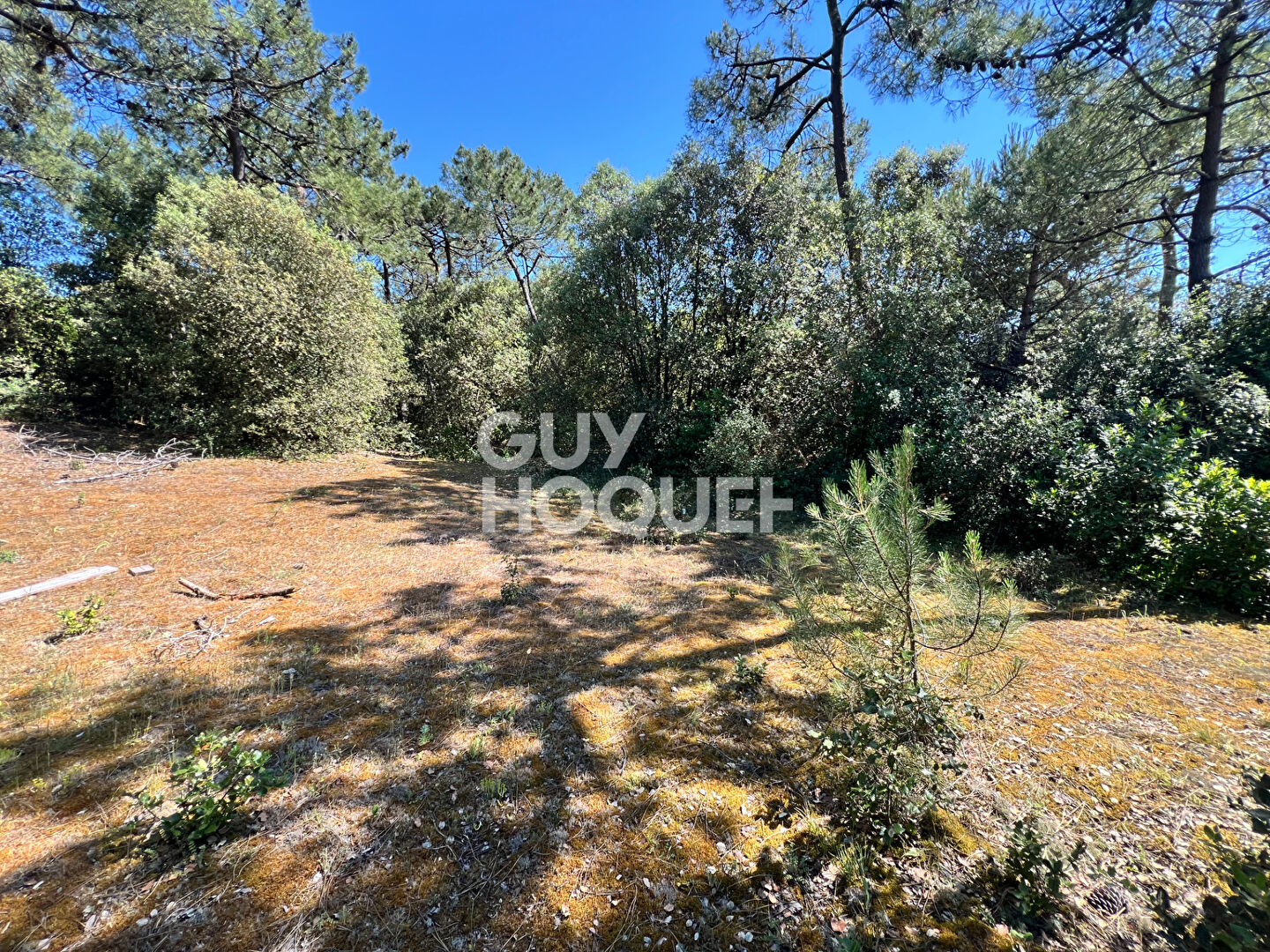Terrain Saint Hilaire De Riez 1100 m2