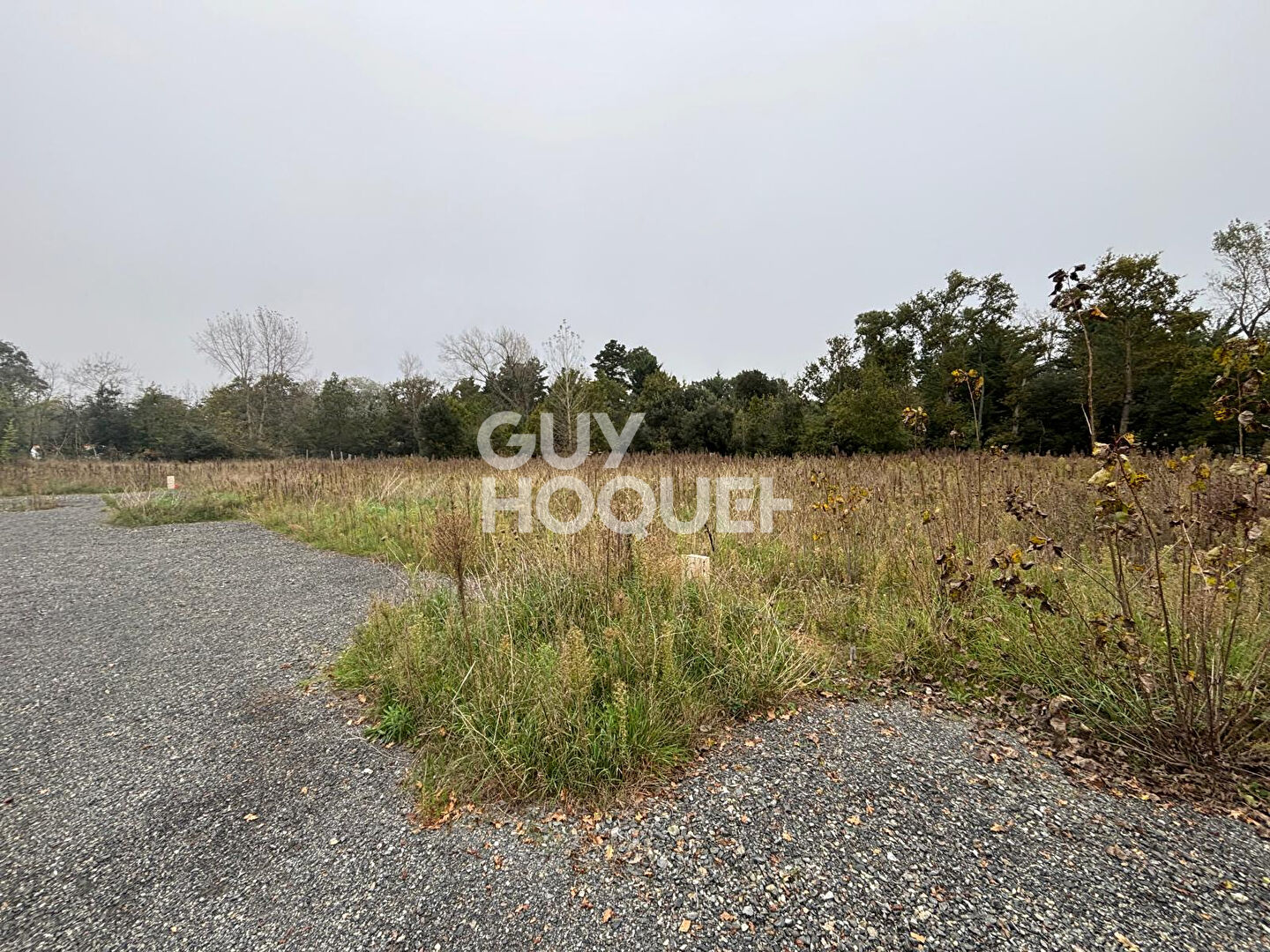 terrain viabilisé 551 m2