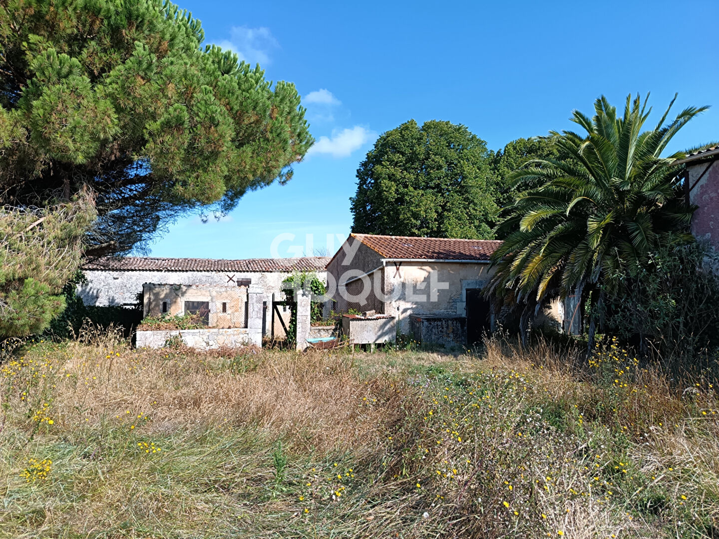 Maison à vendre à Dolus d'Oléron - Référence 12215