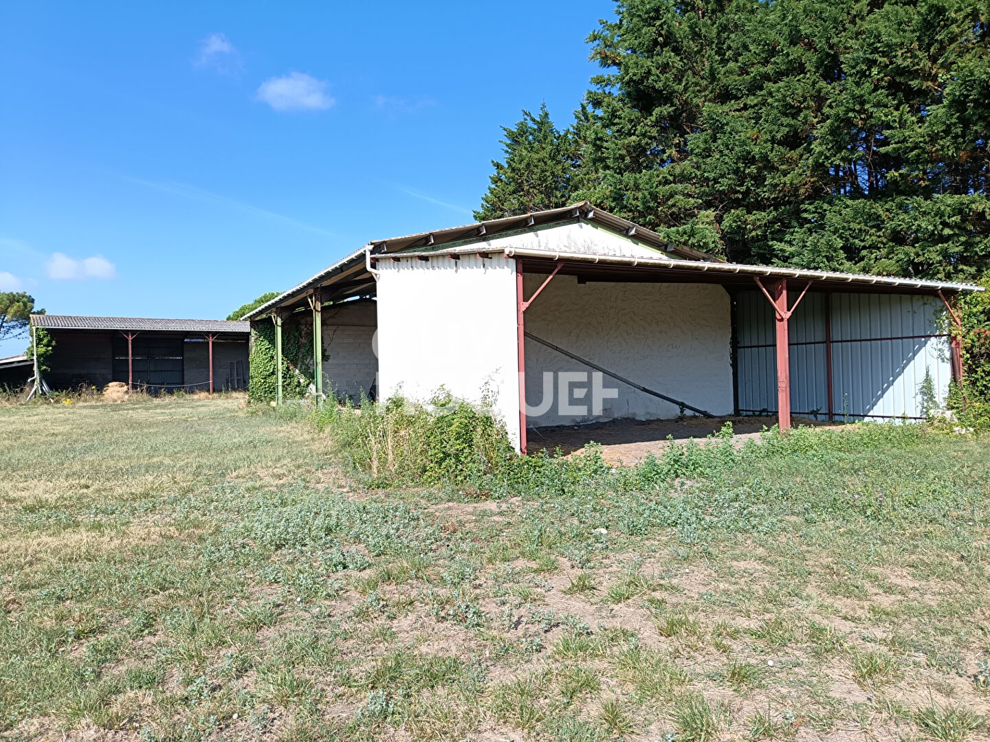 Maison à vendre à Dolus d'Oléron - Référence 12215