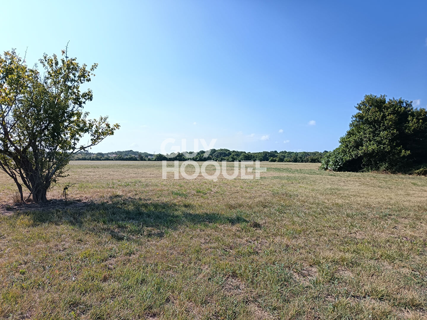 Maison à vendre à Dolus d'Oléron - Référence 12215