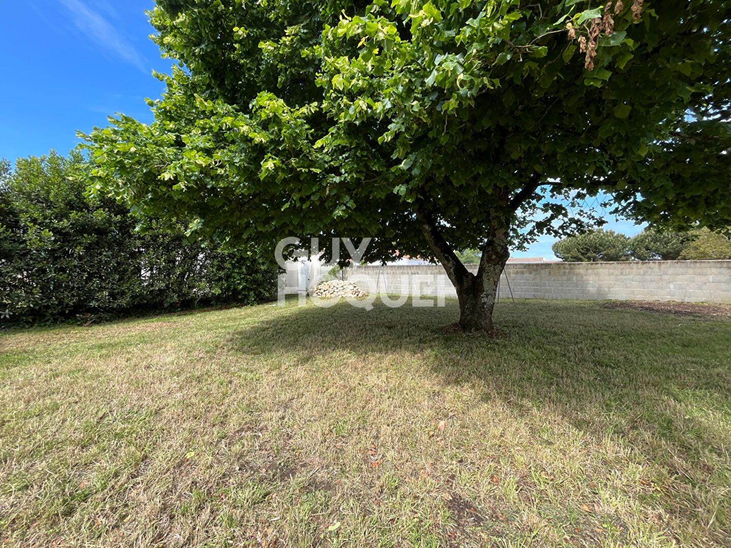 Terrain Dolus D Oleron 447 m2