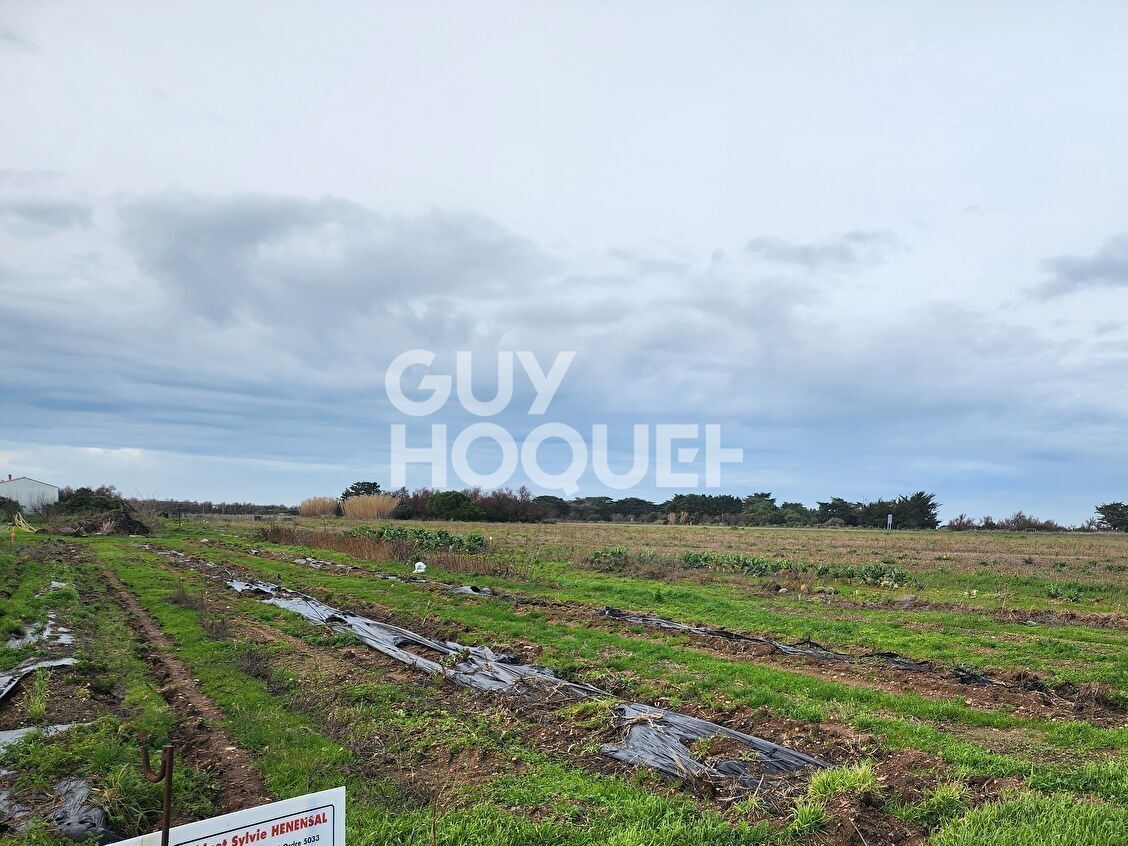 Terrain Saint Denis D Oleron 813 m2