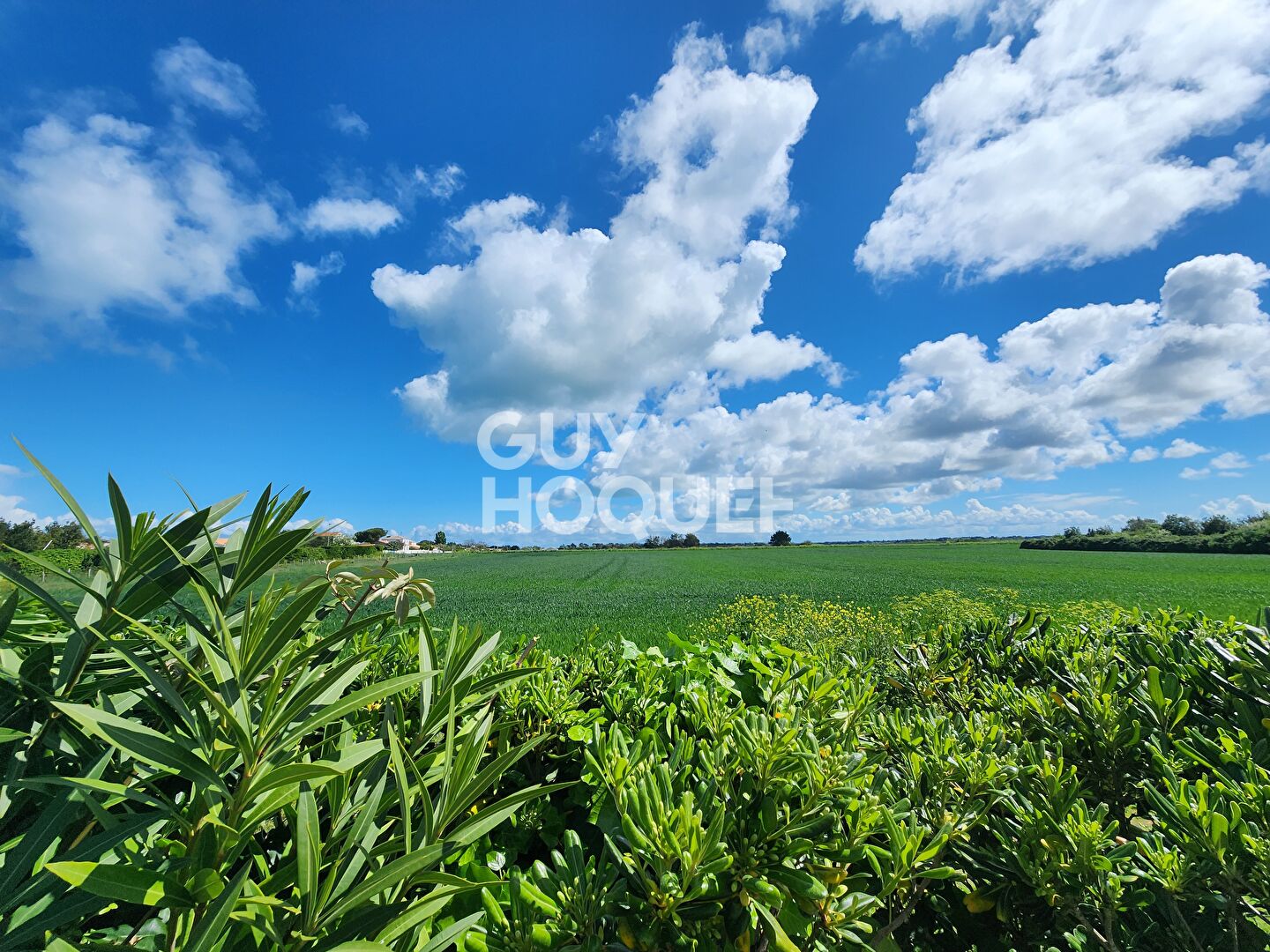 Charmante maison 6 pièces à vendre à La Brée-les-Bains